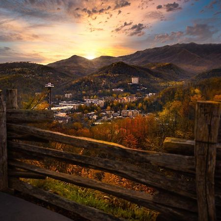 Smoky Bear Lodge With Guest House, Hot Tub, 1089 Free Tickets Each Paid Day, Dollywood And More سيفيرفيل المظهر الخارجي الصورة
