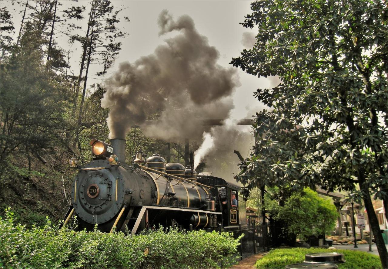 Smoky Bear Lodge With Guest House, Hot Tub, 1089 Free Tickets Each Paid Day, Dollywood And More سيفيرفيل المظهر الخارجي الصورة