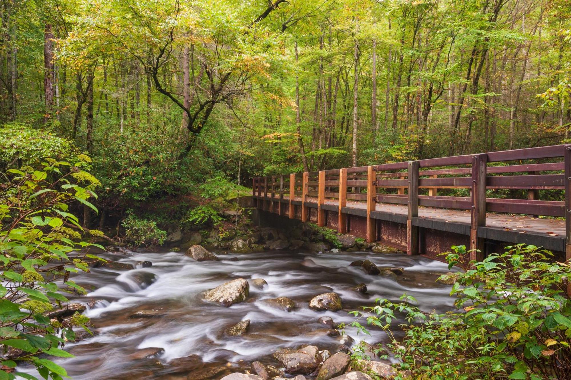 Smoky Bear Lodge With Guest House, Hot Tub, 1089 Free Tickets Each Paid Day, Dollywood And More سيفيرفيل المظهر الخارجي الصورة