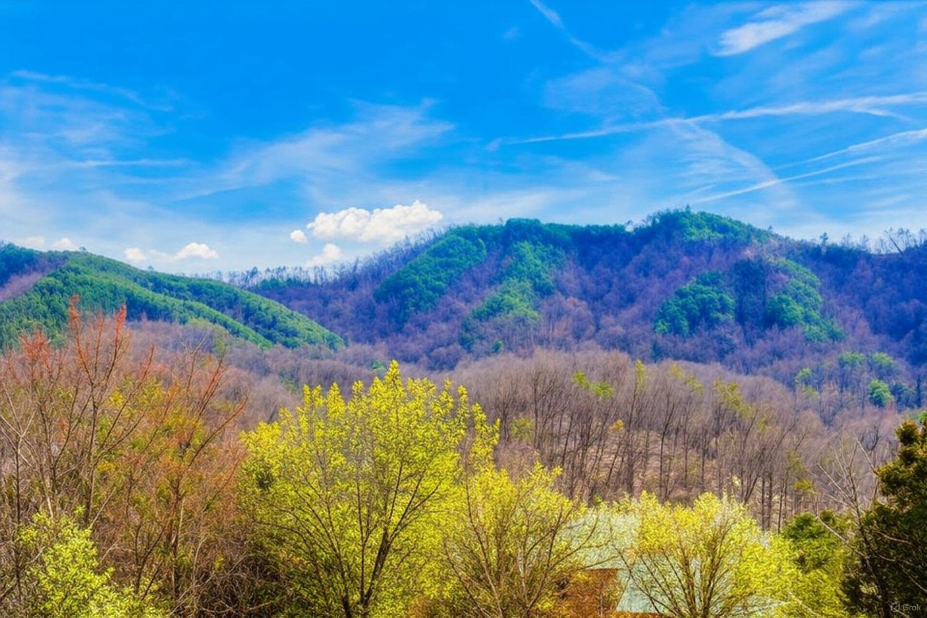Smoky Bear Lodge With Guest House, Hot Tub, 1089 Free Tickets Each Paid Day, Dollywood And More سيفيرفيل المظهر الخارجي الصورة