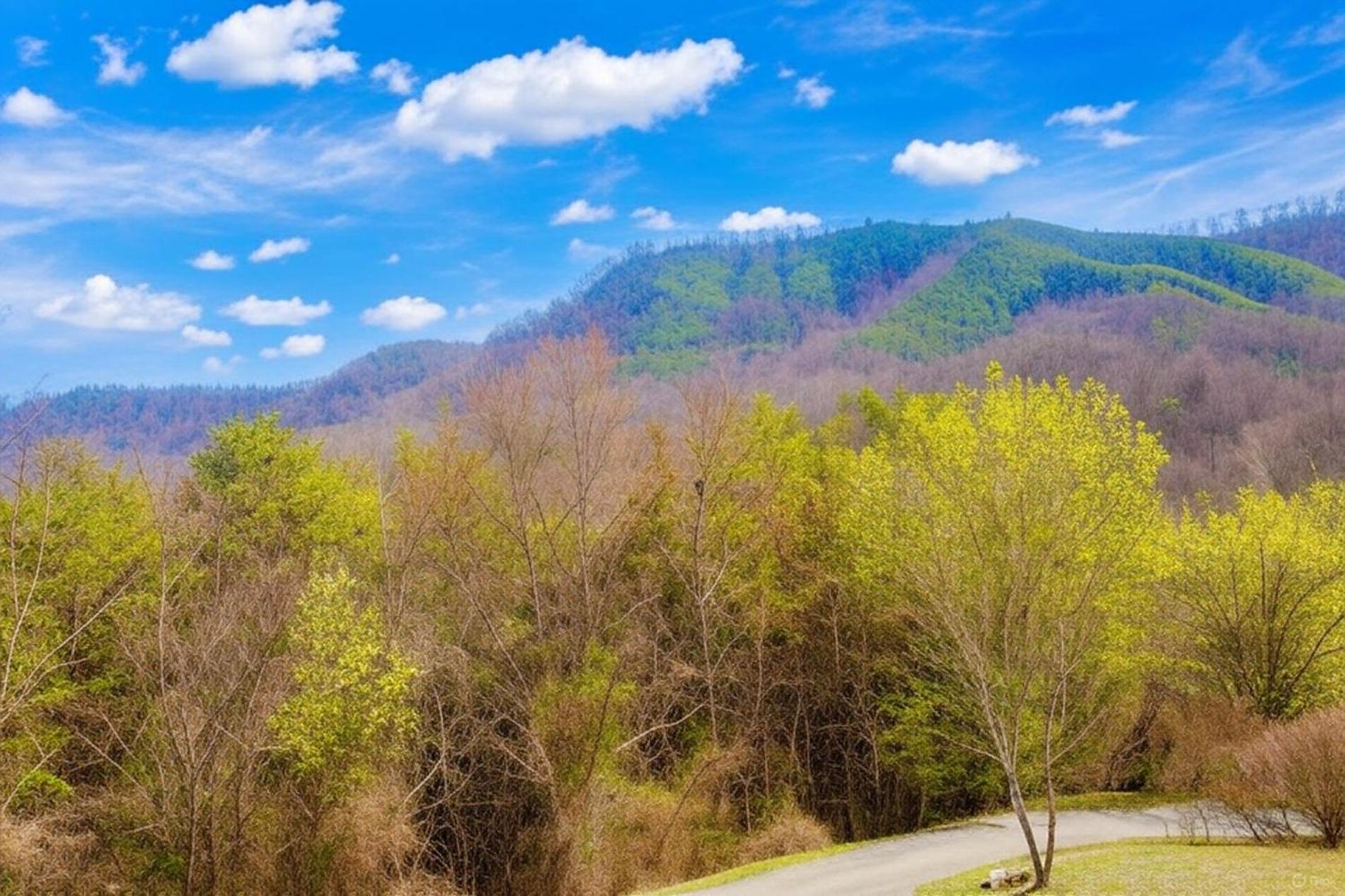 Smoky Bear Lodge With Guest House, Hot Tub, 1089 Free Tickets Each Paid Day, Dollywood And More سيفيرفيل المظهر الخارجي الصورة